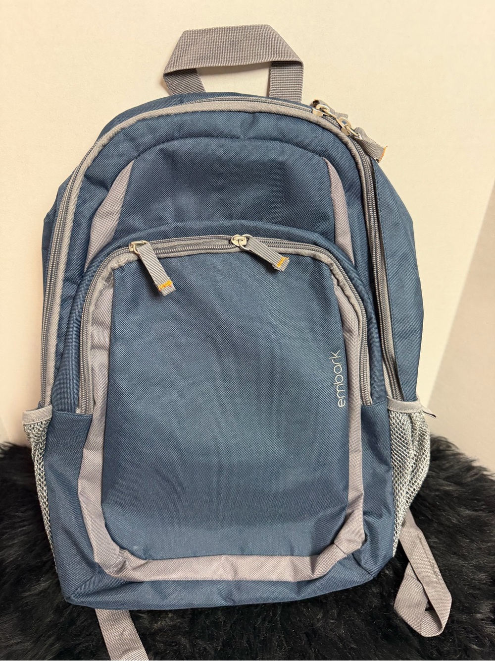 Embark Blue and Gray Men's Everyday kids Backpack